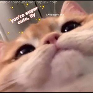 Meet your Posher, Mila